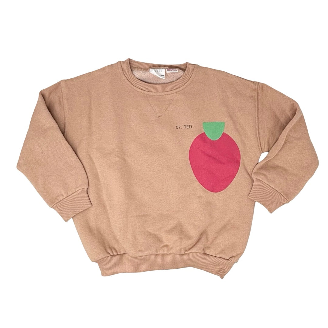 Zara Terracotta w/red apple crewneck, 3-4 years
