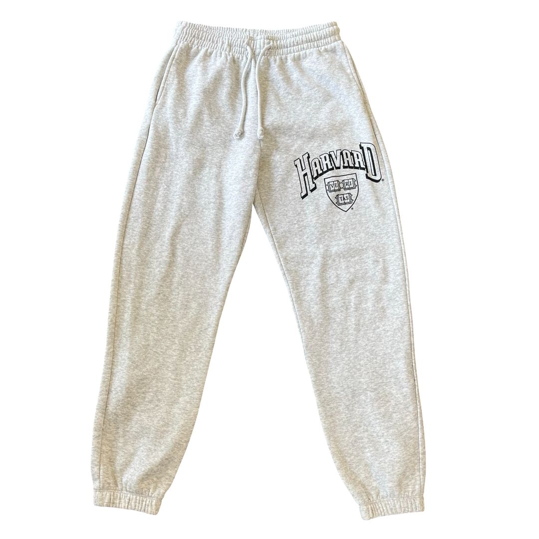 H&M Divided grey Harvard sweat pants, womens small