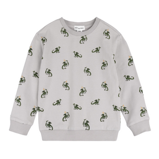 Miles the label Dragon sweater, 3 years