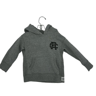 Reigning Champ Grey hoody, Kids small