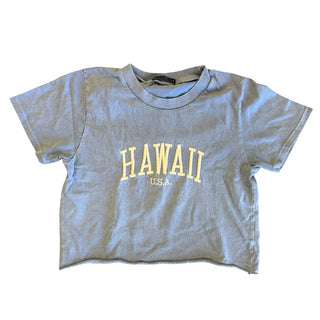 Brandy Melville blue Hawaii tshirt, one size