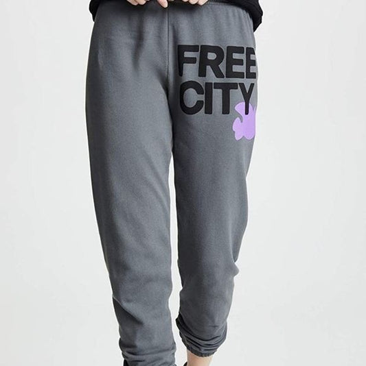 Free City grey sweatpants- purple bird, womens small