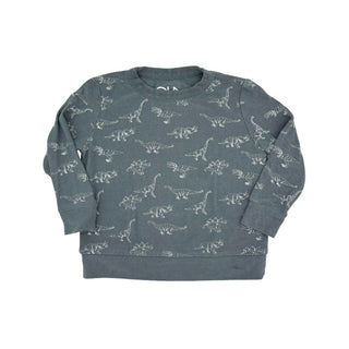 Chaser blue dinosaur sweatshirt, 5 years