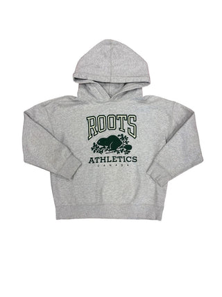 Roots  Grey Hooded Sweatshirt with Green Graphics, XL Youth