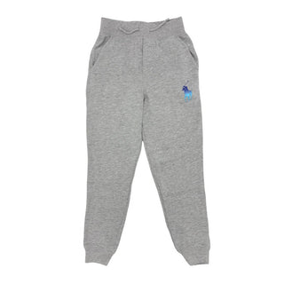 Ralph Lauren grey w/blue Polo Pony zip up/pant set, 8 years