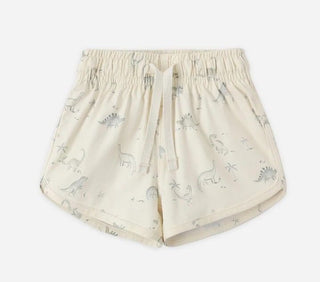 Quincy Mae Boys Swim Short in Dinosaur Pattern - New With Tags, 3-6 months