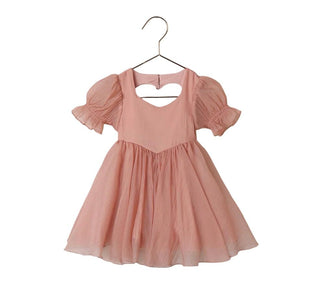 Noralee Valentine Dress in Pink - New With Tags, 2 years