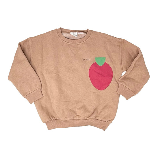 Zara Terracotta w/red apple crewneck, 3-4 years