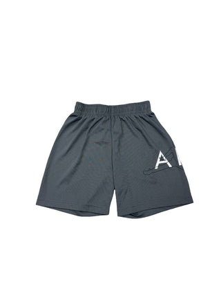 Grey Air Jordan Basketball Shorts, small
