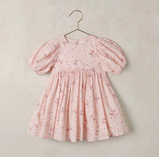 Noralee Bouquet flower dress new with tag, 2 years