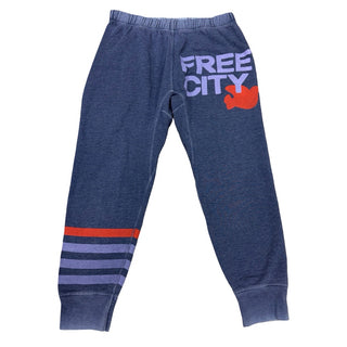 Free City x Gap Navy w/purple sweat pants, Women’s small