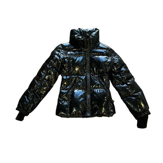 Sam Black Shiny Coat, 14 years