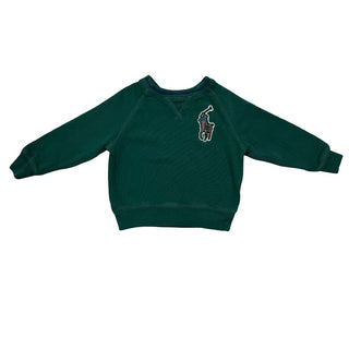 Polo Ralph Lauren evergreen crewneck, 3 toddler