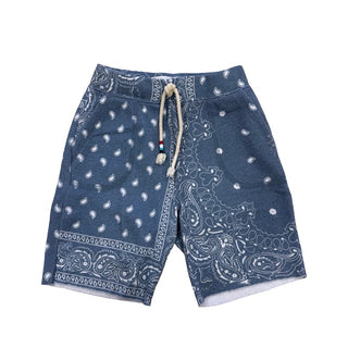 Sol Angeles Blue bandana pattern shorts, 4T