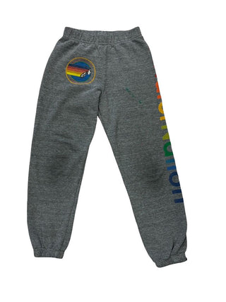 Aviator Nation Grey Sweatpants with Logo and Graphics - Some Paint Stain, Reflected in Pricing, 10 years