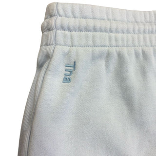 Tna baby blue cozy Boyfriend sweatpants, large