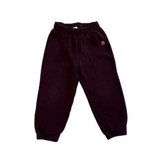 Tentree Burgundy Sweatpants, 5 years