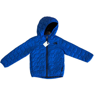 The North Face  Blue jacket