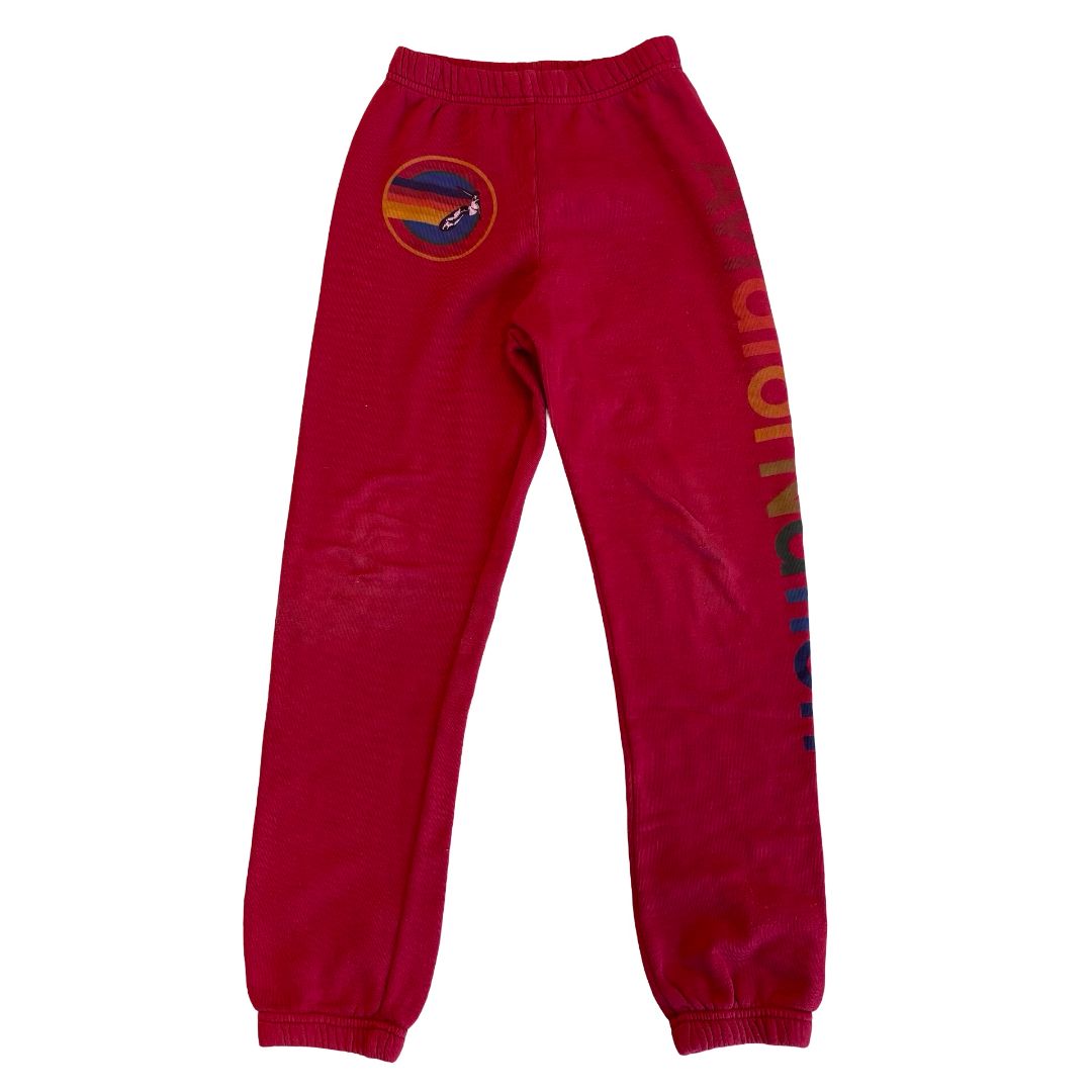 Aviator Nation sweatpants * tiny holes in knee, 10 years