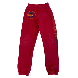 Aviator Nation sweatpants * tiny holes in knee, 10 years