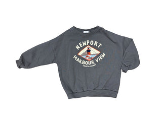 Zara Grey Sweatshirt with Lighthouse Embroidery and Graphics, 5 years