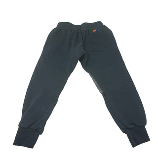 Aviator Nation Grey sweatpants, 3 years