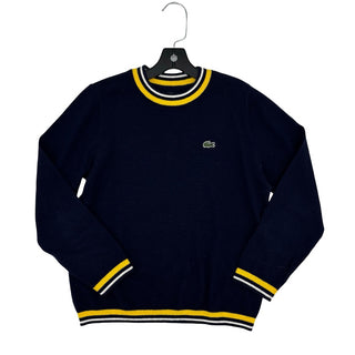 Lacoste Navy sweater, 10 years