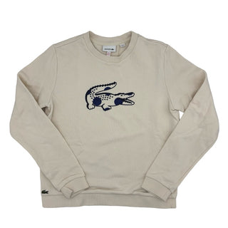 Lacoste Alligator sweatshirt, 12 years