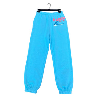 Vintage Havana Blue Malibu sweatpants, Women’s small