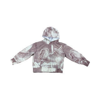 Kith Pegasus Williams 3 hoodie in Mauve w/winged horse print, 2 years