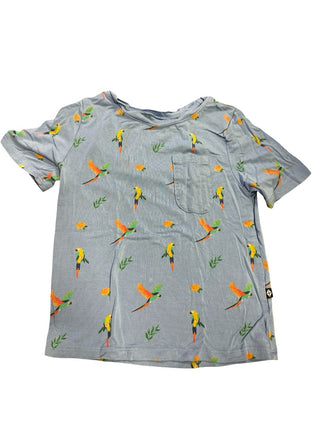 Kyte Baby Blue tshirt with birds, 4 years
