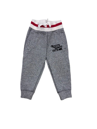 roots grey sweatpants, 2 T
