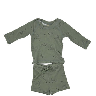 Quincy Mae Dino rashguard/short swim set, 3-6 months