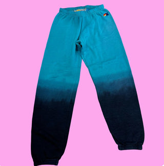 Aviator Nation sweatpants, small