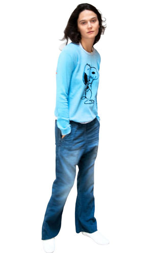 Free City love raglan snoopy blue-orange, womens xs