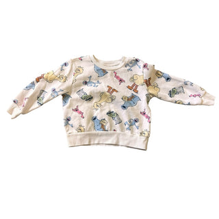 Sesame street Sweater, 3 years