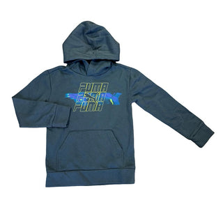 Puma Blue Puma Hooded Sweatshirt, small