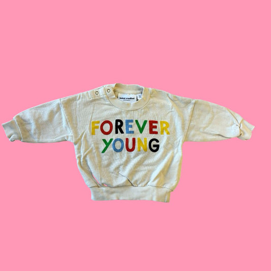 Mini Rodini Sweater, 3-6m