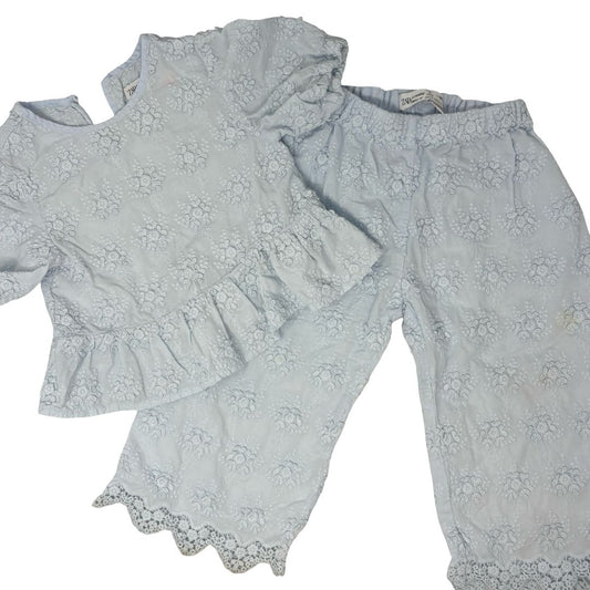 Zara Blue Floral T-Shirt and Pant Set, 3 years
