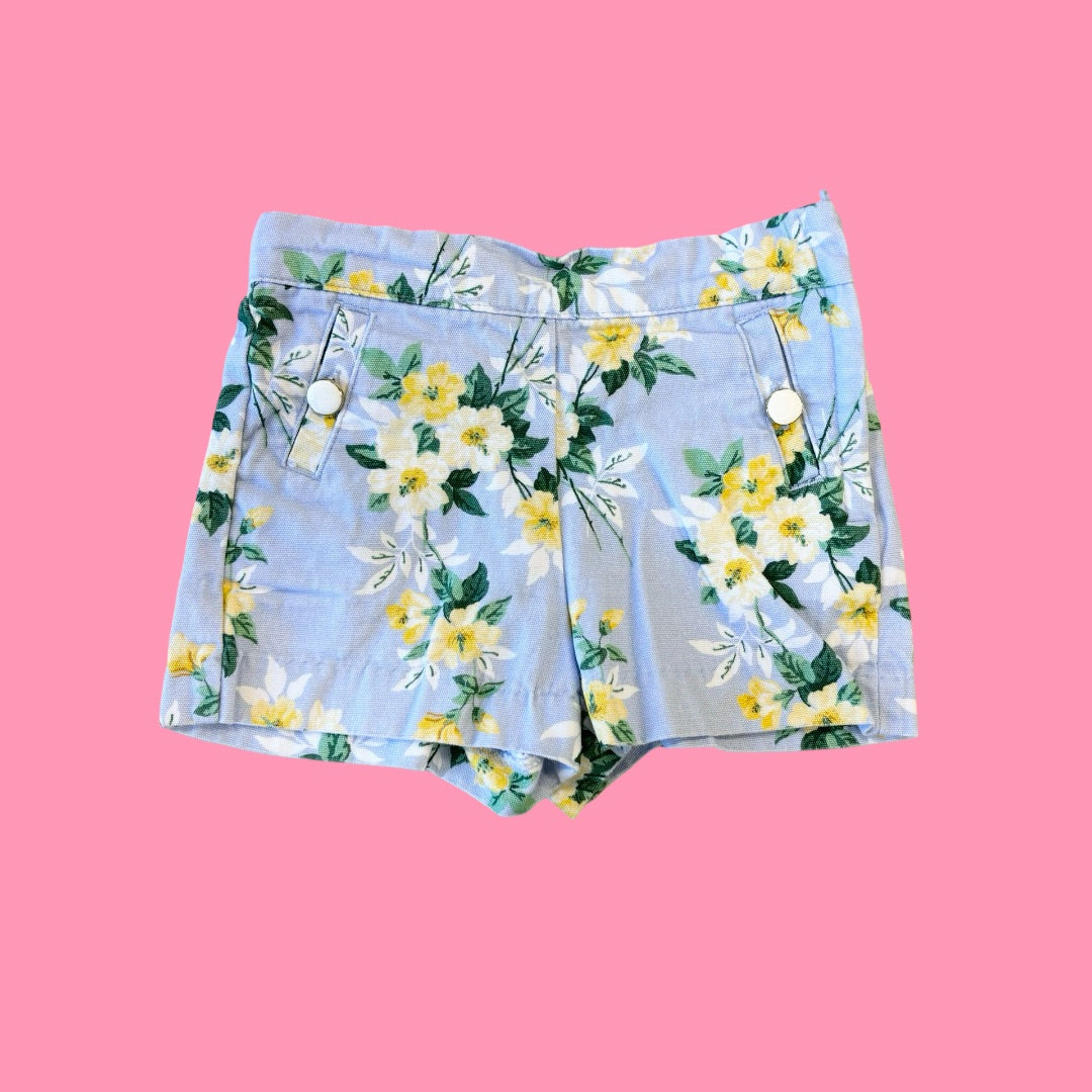 Janie and Jack shorts, 18-24m