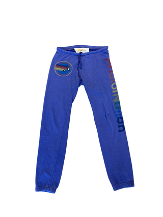 Aviator Nation sweatpants, womens small