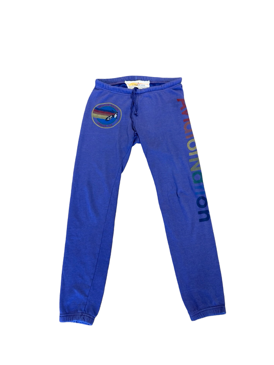 Aviator Nation sweatpants, womens small