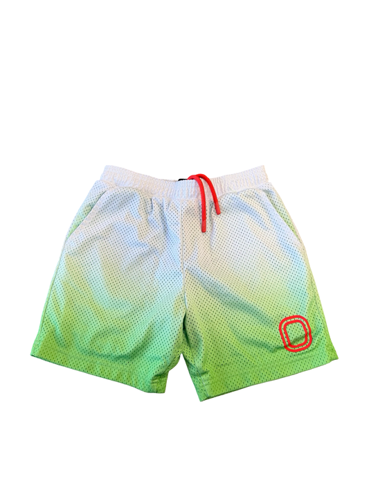 Overtime mesh shorts, youth large