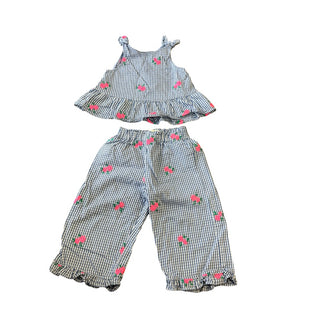 Zara Blue gingham w/pink flowers tank/pant set, 3 years