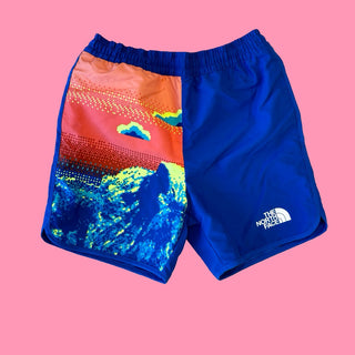 The North Face swim trunks, 10 years