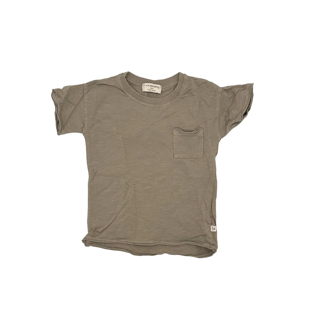 1+ in the family T-shirt, 12 months