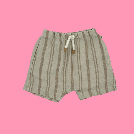 1 + in the Family shorts, 9m