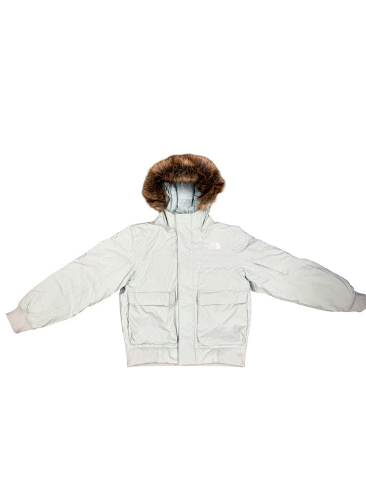The north face Winter jacket, 10 years
