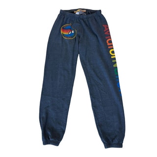 Aviator Nation Navy sweat pant with Aviator Logo, M