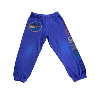 Aviator Nation Purple Sweatpants, 4 years